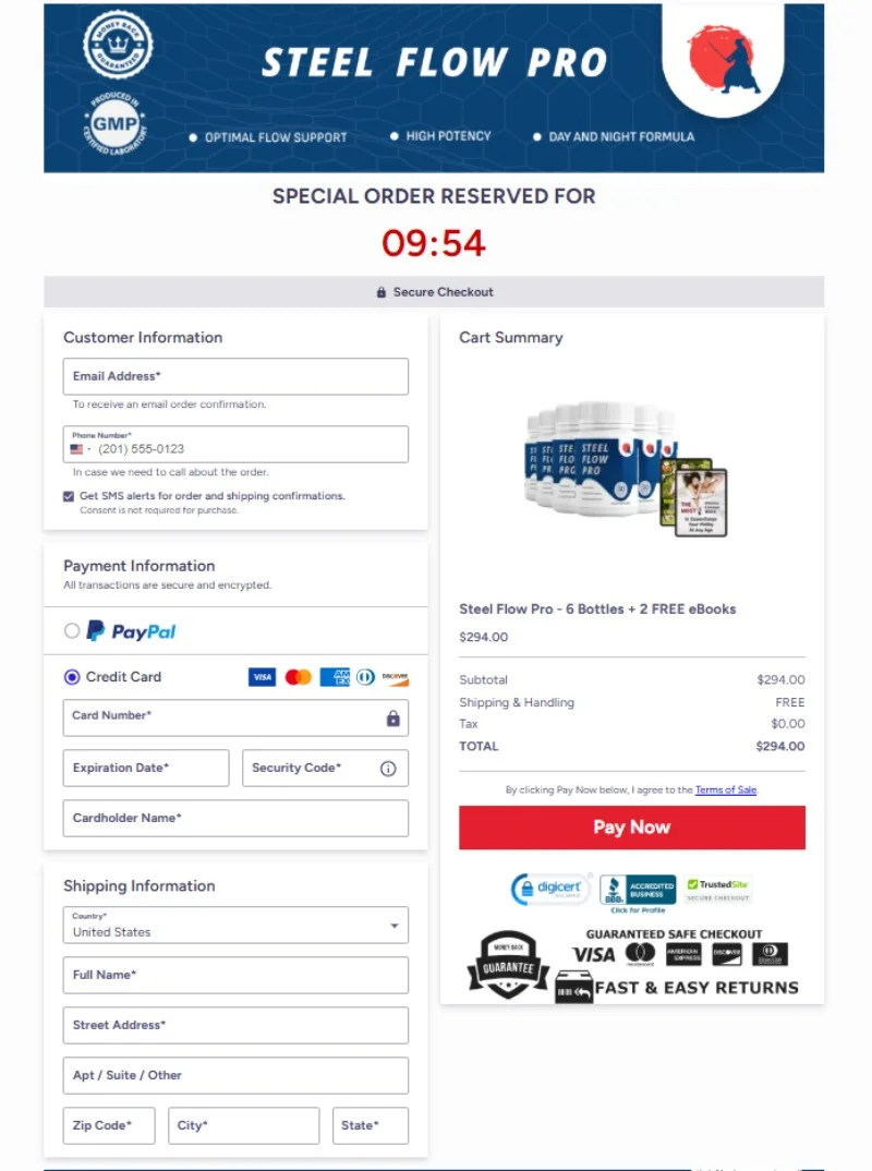 Steel Flow Pro Payment Gateway Interface